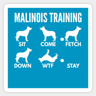 Malinois Dog Training Malinois Dog Tricks Sticker